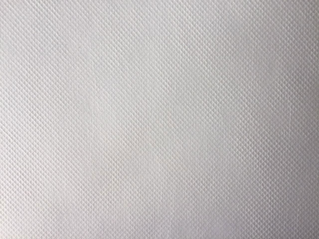 滌綸無(wú)紡布12