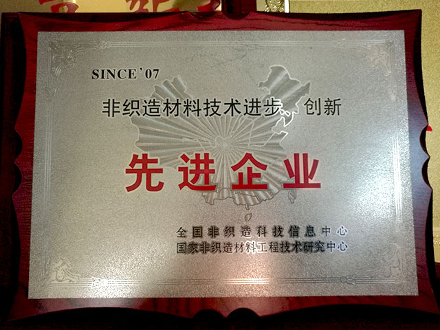 非織造材料技術(shù)進步、創(chuàng)新－先進企業(yè)