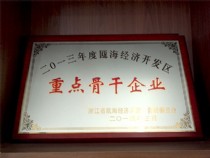 重點骨干企業(yè)